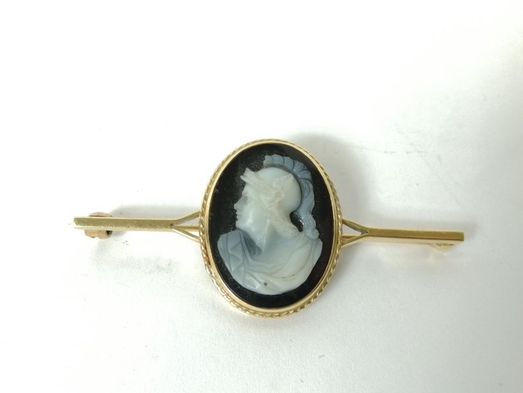 Brooch with stone cameo of a classical head, in 9ct gold.