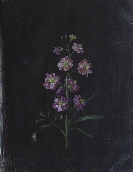 Dietzsch original watercolor of Pink Flowers