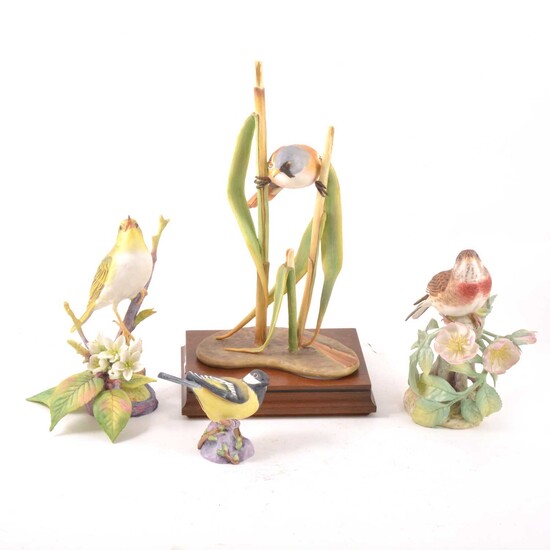 Four Royal Worcester bird models
