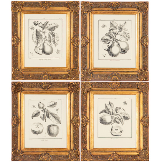 Group of Four Framed French Botanical Fruit Engravings, after Jean Haussard