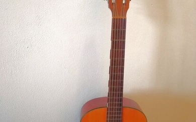 LEVIN - Carmen 16 - Multiple models - Acoustic Guitar - Sweden - 1950