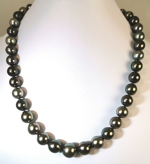 #LOW RESERVE PRICE# - 925 Multicolor Tahitian pearls, Silver, Size 9,2x12,5 mm - Extra lustre - Necklace