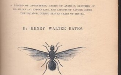 NATURALIST ON THE RIVER AMAZONS, A Record of Adventures, Habits of Animals, Sketches of Brazilian and Indian Life, and Aspects of Nature Under the Equator, During Eleven Years of Travel. Two volumes.