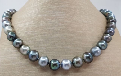 NO RESERVE - 8.7x12mm Round Multi Coloured Tahitian Pearls - 925 Silver - Necklace