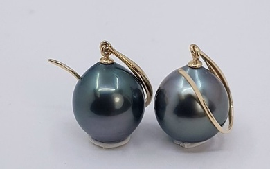 No Reserve Price - 10x11mm Peacock Tahitian Pearl Drops - Earrings Yellow gold