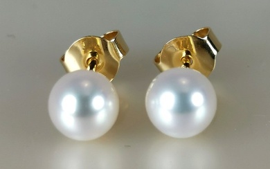 No Reserve Price - Akoya Ø 6x6,5 MM - 18 kt. Akoya pearls, Yellow gold - Earrings Akoya Pearl
