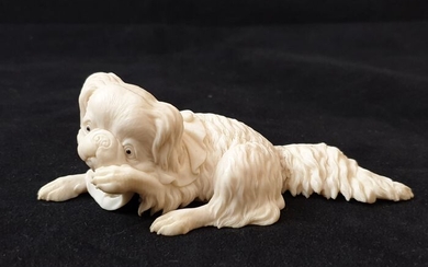 Okimono - Elephant ivory - Pekingese dog - Japan - Late 19th century (Meiji period)