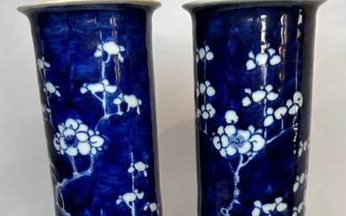 Pair of blue and white porcelain vases - China - Qing Dynasty (1644-1911)