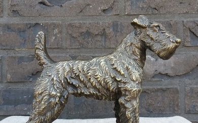 Sculpture, Welsh Terrier dog - Bronze - Early 20th century