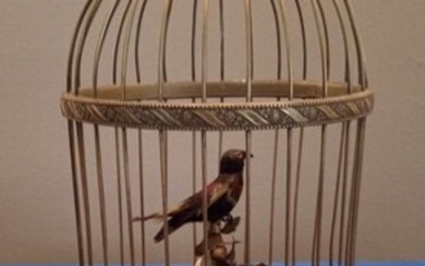 Singing bird automaton, Karl Griesbaum (1) - brass, natural feathers, felt - First half 20th century
