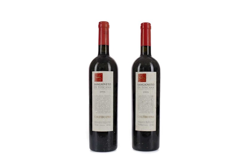 TWO BOTTLES OF SANGIOVETO DI TOSCANA 1995