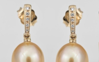 United Pearl - 10x11mm Golden South Sea Pearls - 14 kt. Yellow gold - Earrings - 0.08 ct