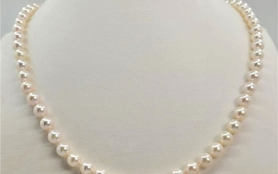 United Pearl - 6.5x7mm Akoya Pearls - 14 kt. White gold - Necklace