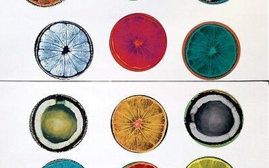 Wade Guyton/Kelley Walker: Fruit Stickers for Artists