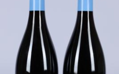 2020, 2021 Pinot Noir, Martha und Daniel Gantenbein, Kanton Graubünden, 96 Parker-Punkte, 2 Flaschen