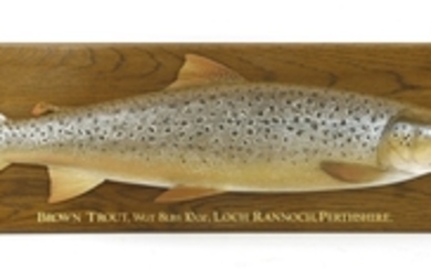 SCOTTISH BROWN TROUT, an hand carved and painted wooden commemorative trophy plaque, 'Brown Trout, ...