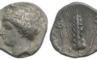 Southern Lucania, Metapontion, c. 340-330 BC. AR Stater (23mm, 7.15g,...