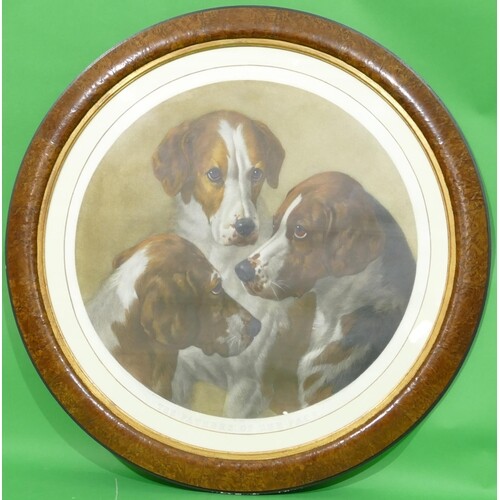 A Circular Coloured Engraving depicting 3 dogs "The feathers...