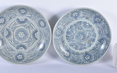 A LARGE PAIR OF 19TH CENTURY CHINESE BLUE AND WHITE DIANA SHIPWRECK CARGO DISHES painted with flower