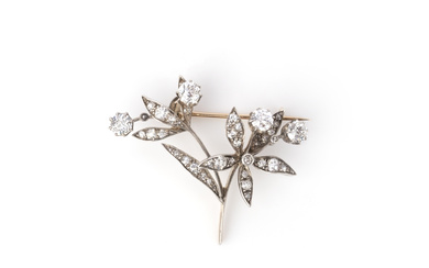 A late 19th century diamond foliate brooch