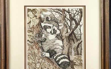 D81 Framed Polly Chase LE Color Etching Raccoon