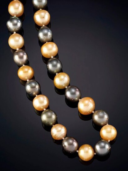 EXQUISITE NECKLACE OF 54 AUSTRALIAN GOLDEN AND TAHITIAN GOLDEN PEARLS OF INTENSE AND HOMOGENEOUS COLOR. IN LIGHTWEIGHT GRADED OF 13 -15 MM. Starting price: 2.500,00 Euros. (415.965 Ptas.)