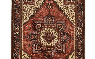 Farmhouse Boho Decor Vintage Red Geometric 7X10 Serapi Heriz Oriental Rug Carpet