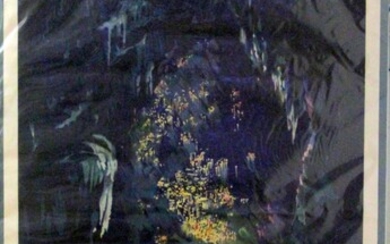 Original Waitomo Caves, New Zealand, Rail Poster