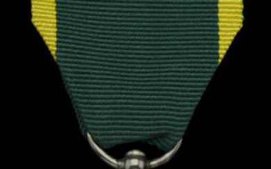 Territorial Force Efficiency Medal, G.V.R. (81 L. Sjt: J. Mitchener. Hants: Yeo:)...