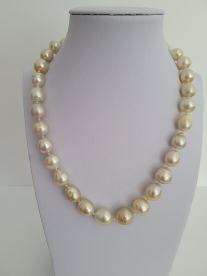 18 kt. Yellow gold - Necklace - South Sea Pearls 10-13 mm