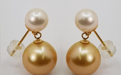 7.5x10mm Golden South Sea and Akoya Pearls - 18 kt. Yellow gold - Earrings
