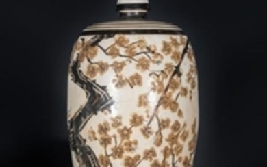 Arte Sud-Est Asiatico A meiping pottery vase