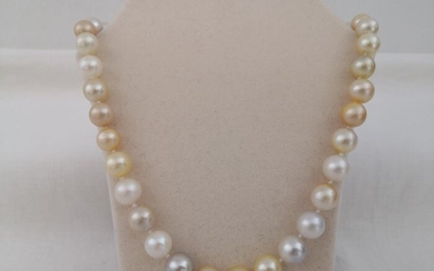 925 Silver, South sea pearls - Necklace