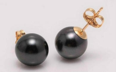 9x10mm Black Tahitian Pearls - Earrings