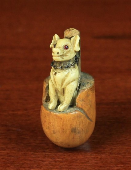 A 19th Century Carved Novelty Pig in a Poke; A seated pig with inset glass eyes and a chain link col