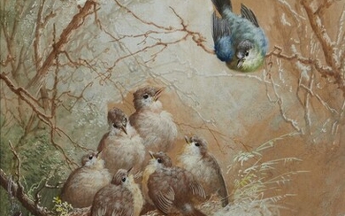 A. DUHOUX Jeune (19ème siècle) "Volatiles au nid" Deux gouaches, signées en bas à droite...
