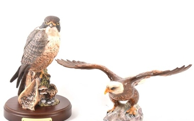 A Doulton Peregrine Falcon figure, and a Beswick Bald Eagle
