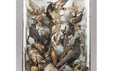 A LARGE LATE 19TH CENTURY TAXIDERMY DIORAMA OF BRITISH BIRDS...