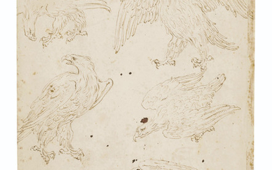 Attributed to Giovanni Nanni, called Giovanni da Udine (Udine 1487-1564 Rome), Studies of eagles (recto and verso)