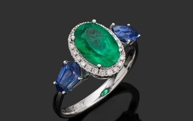 Eleganter Smaragd-Saphirring