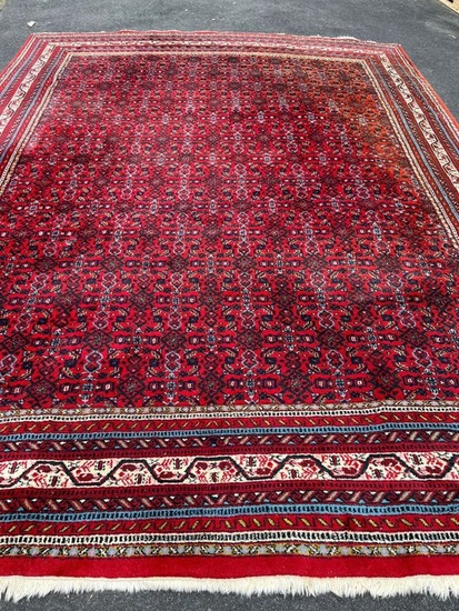 Hamadan - Carpet - 380 cm - 296 cm