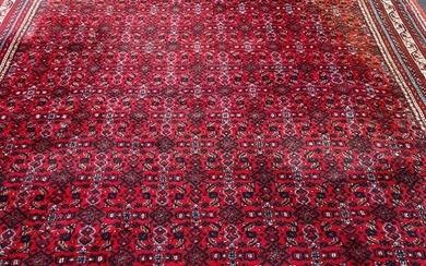 Hamadan - Carpet - 380 cm - 296 cm