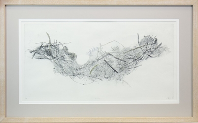 NEST I, A LIMITED EDITION PRINT BY LOUISE