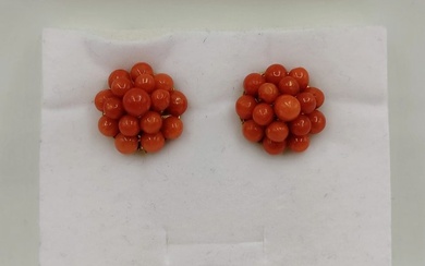 No Reserve Price - Earrings Gold-plated, Silver, Sciacca coral Coral