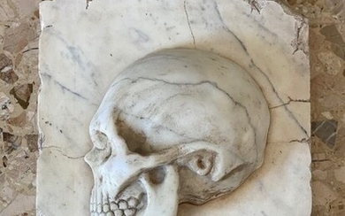 Relief of a skull 'en profile' - Carrara marble - 20th century - Marble - 20th century