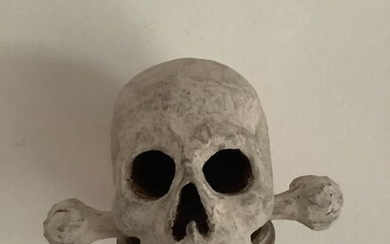 Skull wood with bones (1) - Wood - 18th century