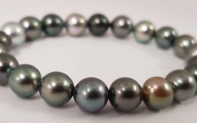 no reserve - 8x9mm Shimmering Round Tahitian Pearls - Bracelet