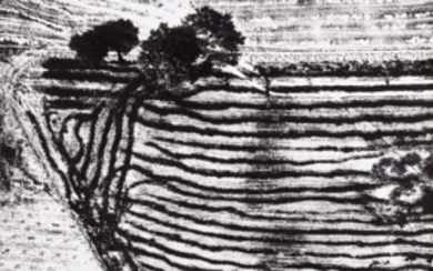 Mario Giacomelli ( 1925 - 2000 ) , Paesaggio 1978 Vintage gelatin silver print, Vintage gelatin silver print large format. Signature and credit stamp with caption on the...