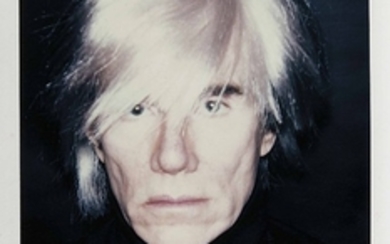 ANDY WARHOL (1928-1987), Self-Portrait (in Fright Wig), 1986