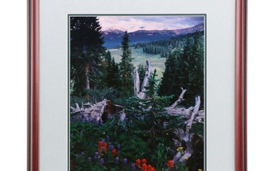 David Smith Chromogenic Print of Alpine Landscape